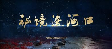 救援小犬立苏